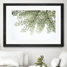 Ginkgo Leaves Dream 4 by Anitas Bellas Art on GIANT ART - coastal