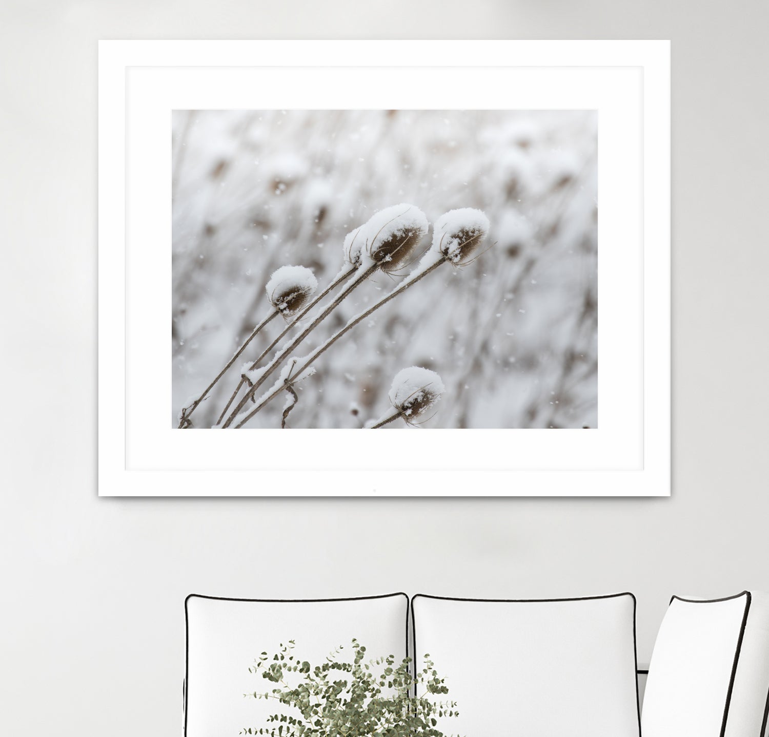 Snow on Thistle by Arlene Carley on GIANT ART - white photo manipulation