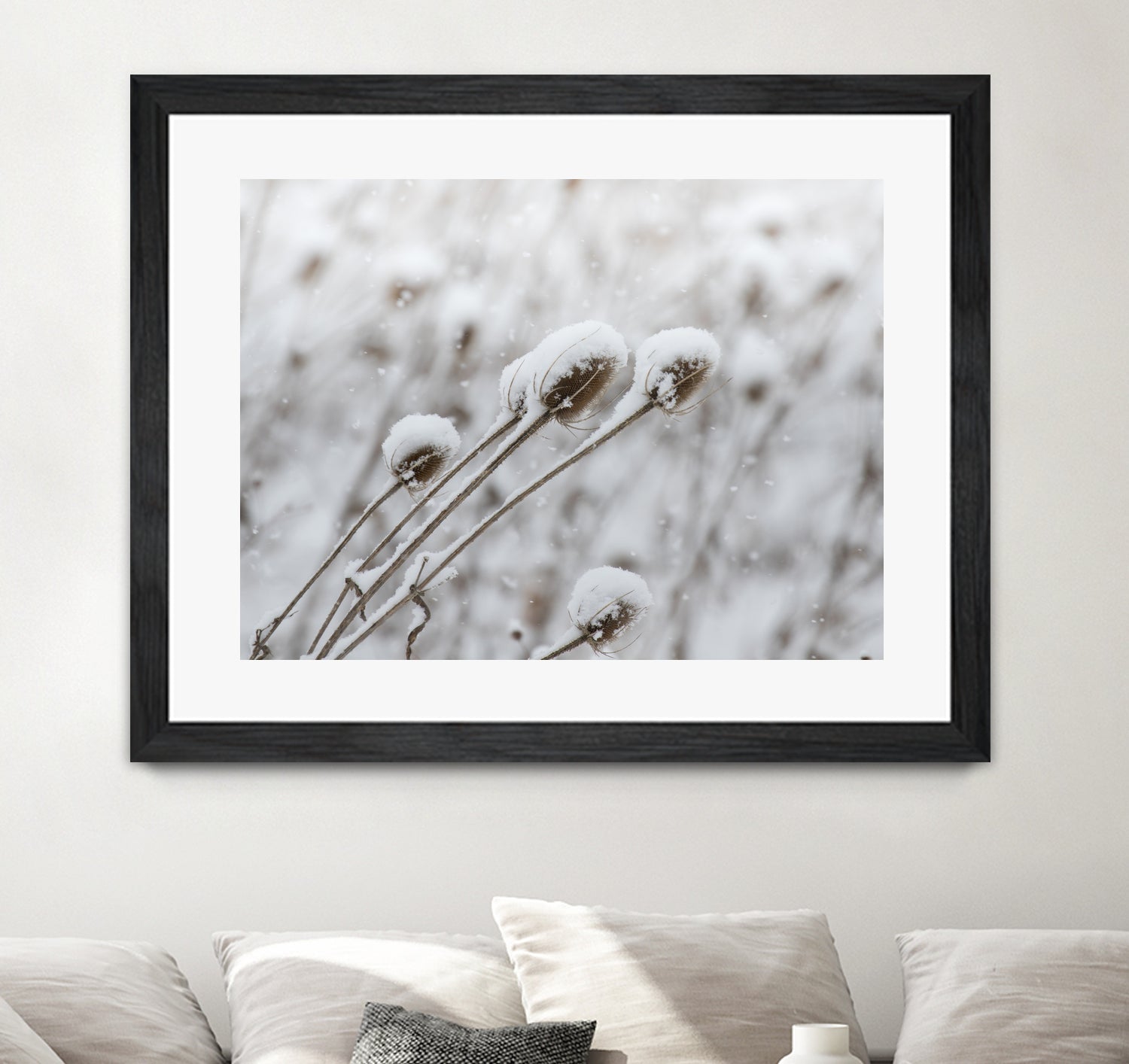 Snow on Thistle by Arlene Carley on GIANT ART - white photo manipulation