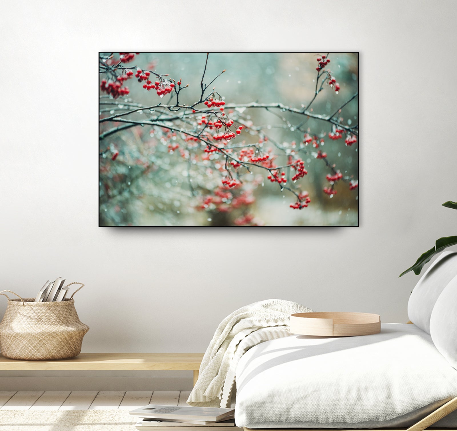 berries in snow by Amy Buxton on GIANT ART - red photo illustration