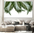 Palm Leaves Finesse 1a by Anitas Bellas Art on GIANT ART - coastal