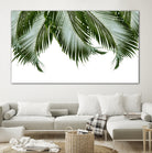 Palm Leaves Finesse 1a by Anitas Bellas Art on GIANT ART - coastal