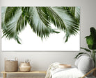 Palm Leaves Finesse 1a by Anitas Bellas Art on GIANT ART - coastal