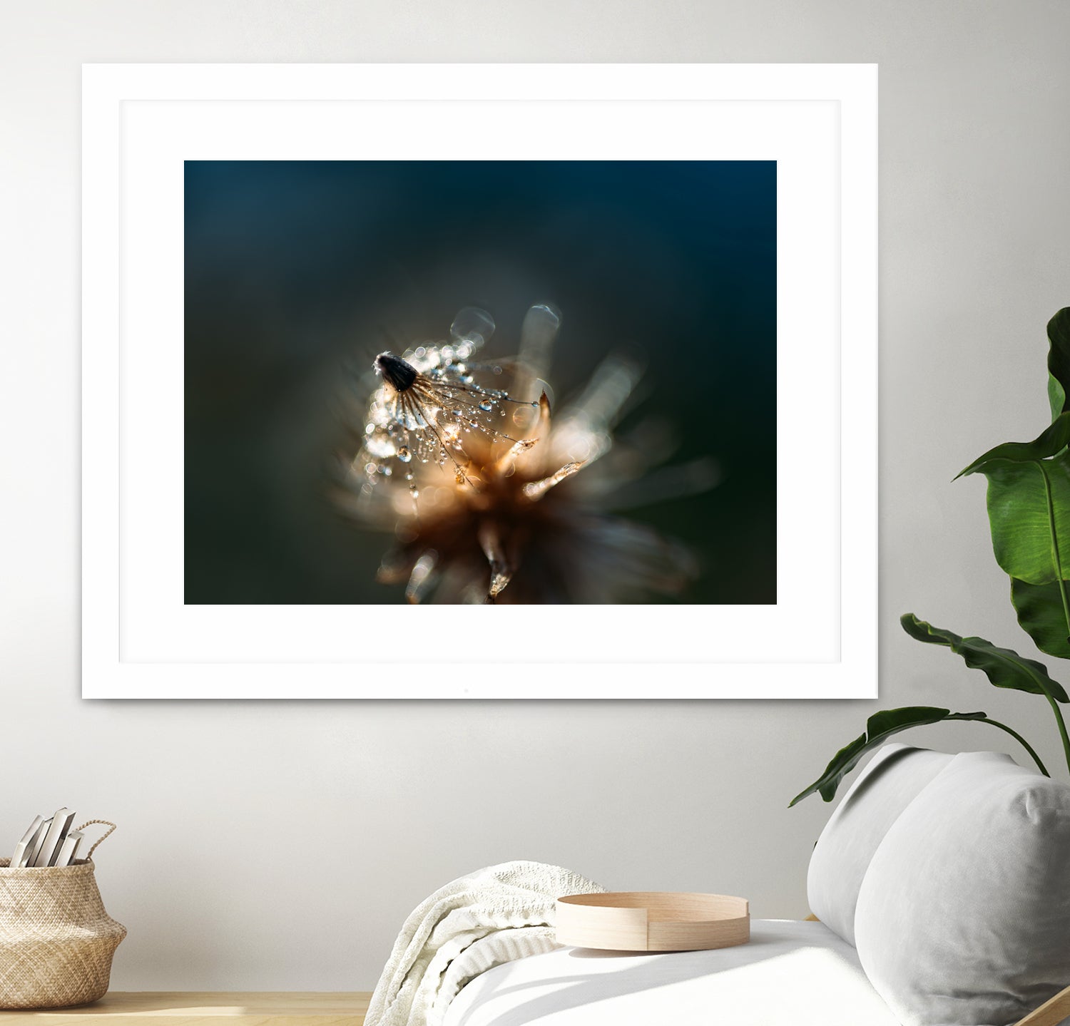 Dew drops on dandelion seed by Studio OMG on GIANT ART - brown photo illustration