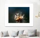 Dew drops on dandelion seed by Studio OMG on GIANT ART - brown photo illustration