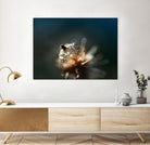 Dew drops on dandelion seed by Studio OMG on GIANT ART - brown photo illustration