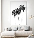 Palm Trees Black White 4 by Anitas Bellas Art on GIANT ART - coastal