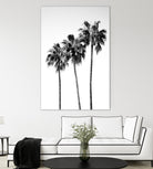 Palm Trees Black White 4 by Anitas Bellas Art on GIANT ART - coastal