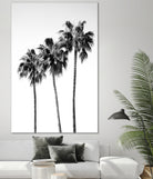 Palm Trees Black White 4 by Anitas Bellas Art on GIANT ART - coastal