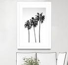 Palm Trees Black White 4 by Anitas Bellas Art on GIANT ART - coastal