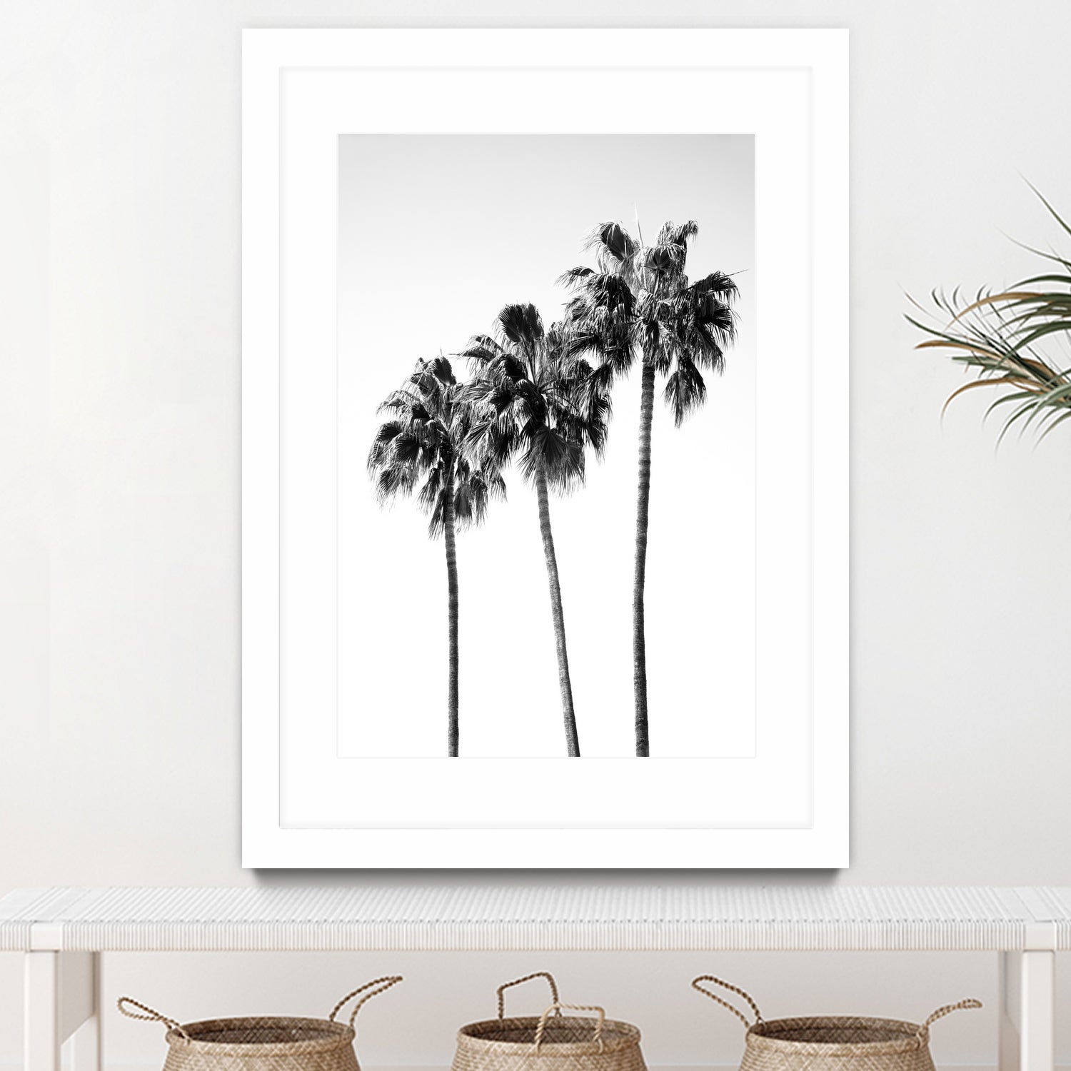 Palm Trees Black White 4 by Anitas Bellas Art on GIANT ART - coastal