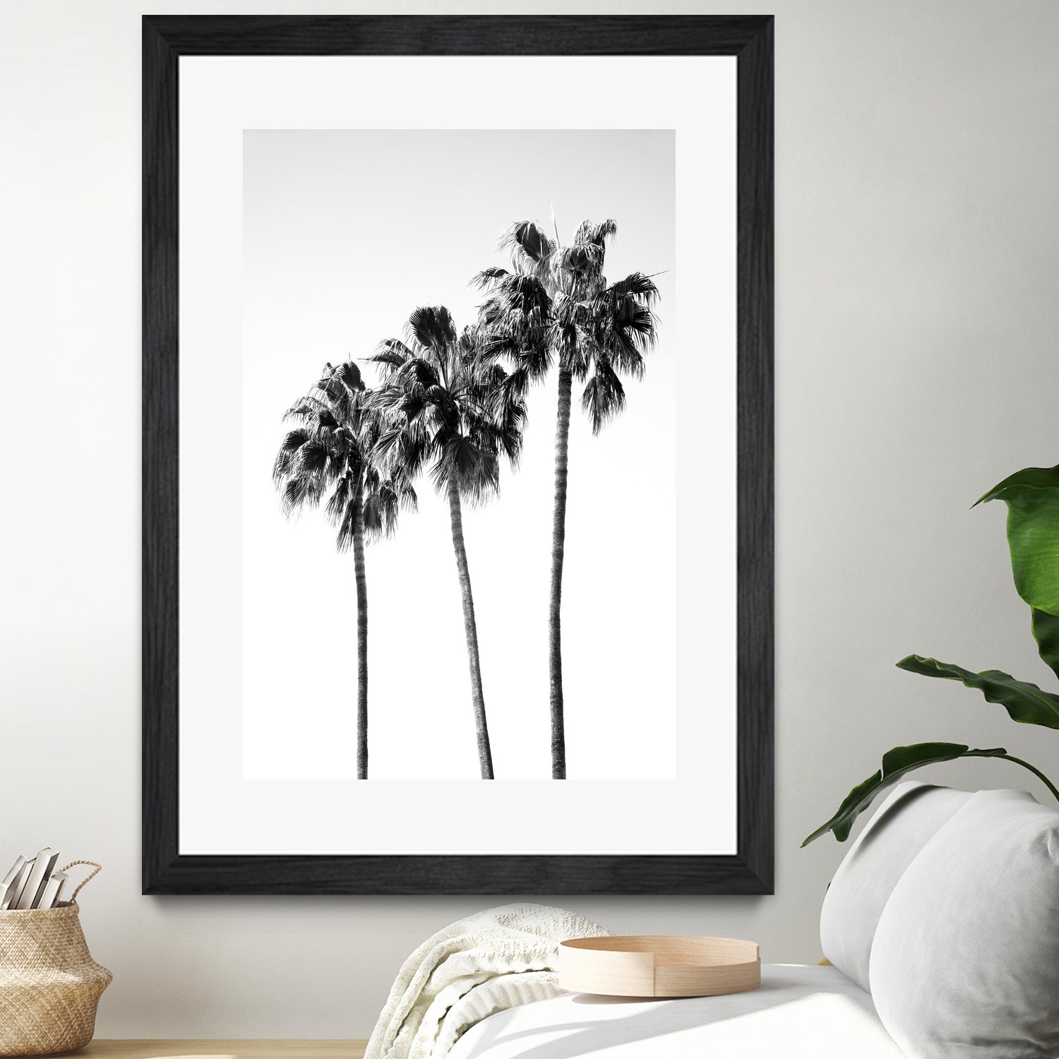 Palm Trees Black White 4 by Anitas Bellas Art on GIANT ART - coastal