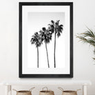 Palm Trees Black White 4 by Anitas Bellas Art on GIANT ART - coastal