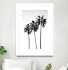 Palm Trees Black White 4 by Anitas Bellas Art on GIANT ART - coastal