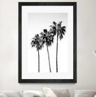 Palm Trees Black White 4 by Anitas Bellas Art on GIANT ART - coastal