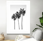 Palm Trees Black White 4 by Anitas Bellas Art on GIANT ART - coastal