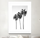 Palm Trees Black White 4 by Anitas Bellas Art on GIANT ART - coastal