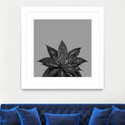 Gray Black Agave with Black Silver Glitter #3 #shiny by Anita & Bella Jantz on GIANT ART - gray photo illustration