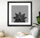 Gray Black Agave with Black Silver Glitter #3 #shiny by Anita & Bella Jantz on GIANT ART - gray photo illustration