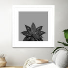 Gray Black Agave with Black Silver Glitter #3 #shiny by Anita & Bella Jantz on GIANT ART - gray photo illustration