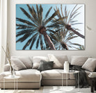 Palm Trees Bliss 1 by Anitas Bellas Art on GIANT ART - coastal