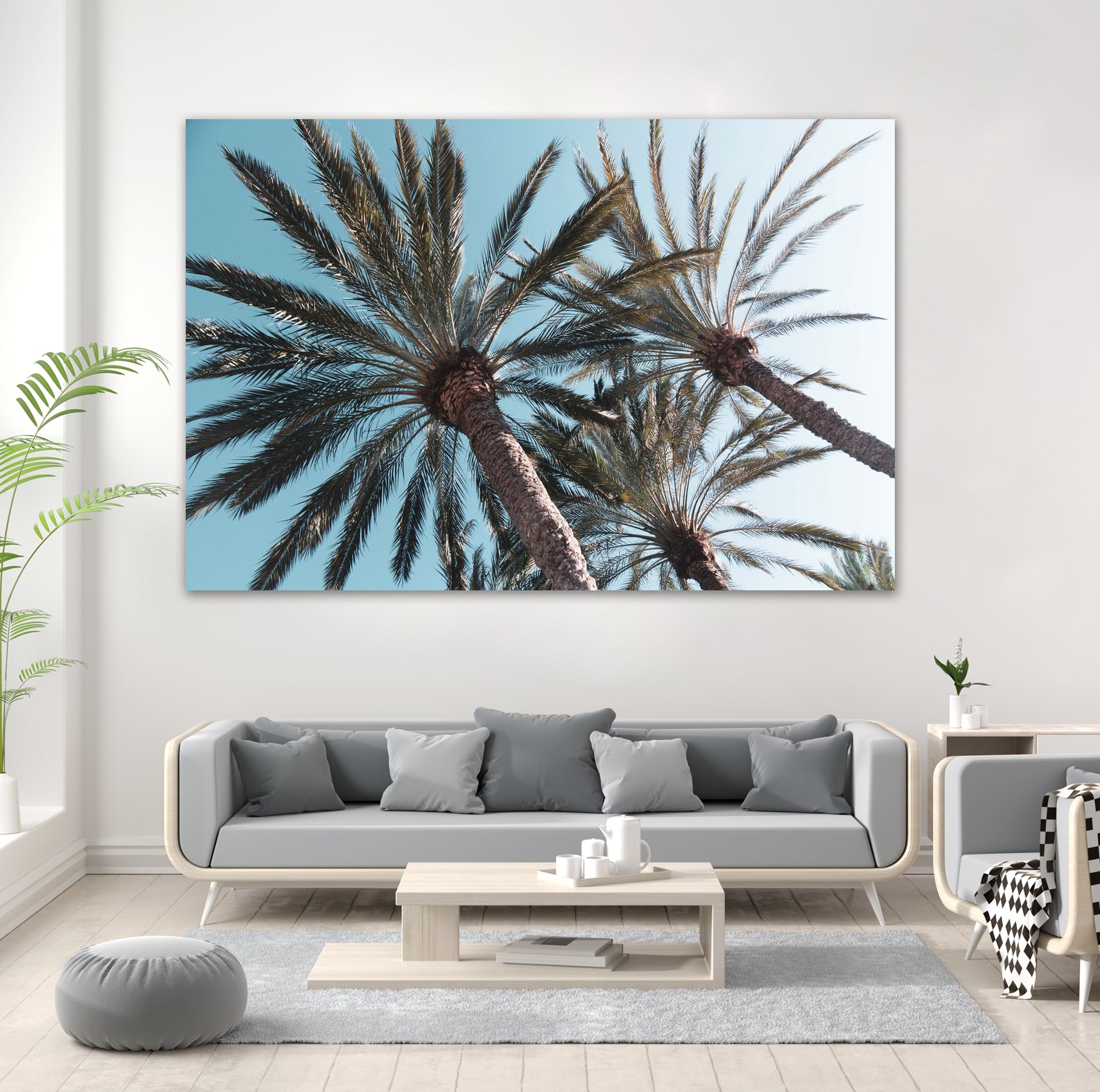 Palm Trees Bliss 1 by Anitas Bellas Art on GIANT ART - coastal