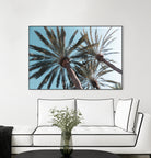 Palm Trees Bliss 1 by Anitas Bellas Art on GIANT ART - coastal