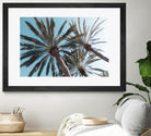 Palm Trees Bliss 1 by Anitas Bellas Art on GIANT ART - coastal