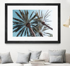 Palm Trees Bliss 1 by Anitas Bellas Art on GIANT ART - coastal