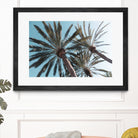 Palm Trees Bliss 1 by Anitas Bellas Art on GIANT ART - coastal