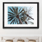 Palm Trees Bliss 1 by Anitas Bellas Art on GIANT ART - coastal