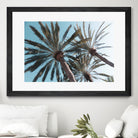 Palm Trees Bliss 1 by Anitas Bellas Art on GIANT ART - coastal