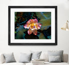 Nelumbo nucifera by Svetlana Eremenko on GIANT ART - pink digital painting