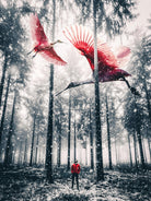 Red birds in winter by GEN Z by Rigaud Mickaël on GIANT ART - gray photo illustration