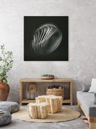 Strange Attractors Dequan Li 05 by David Ferreira on GIANT ART - gray 3d art