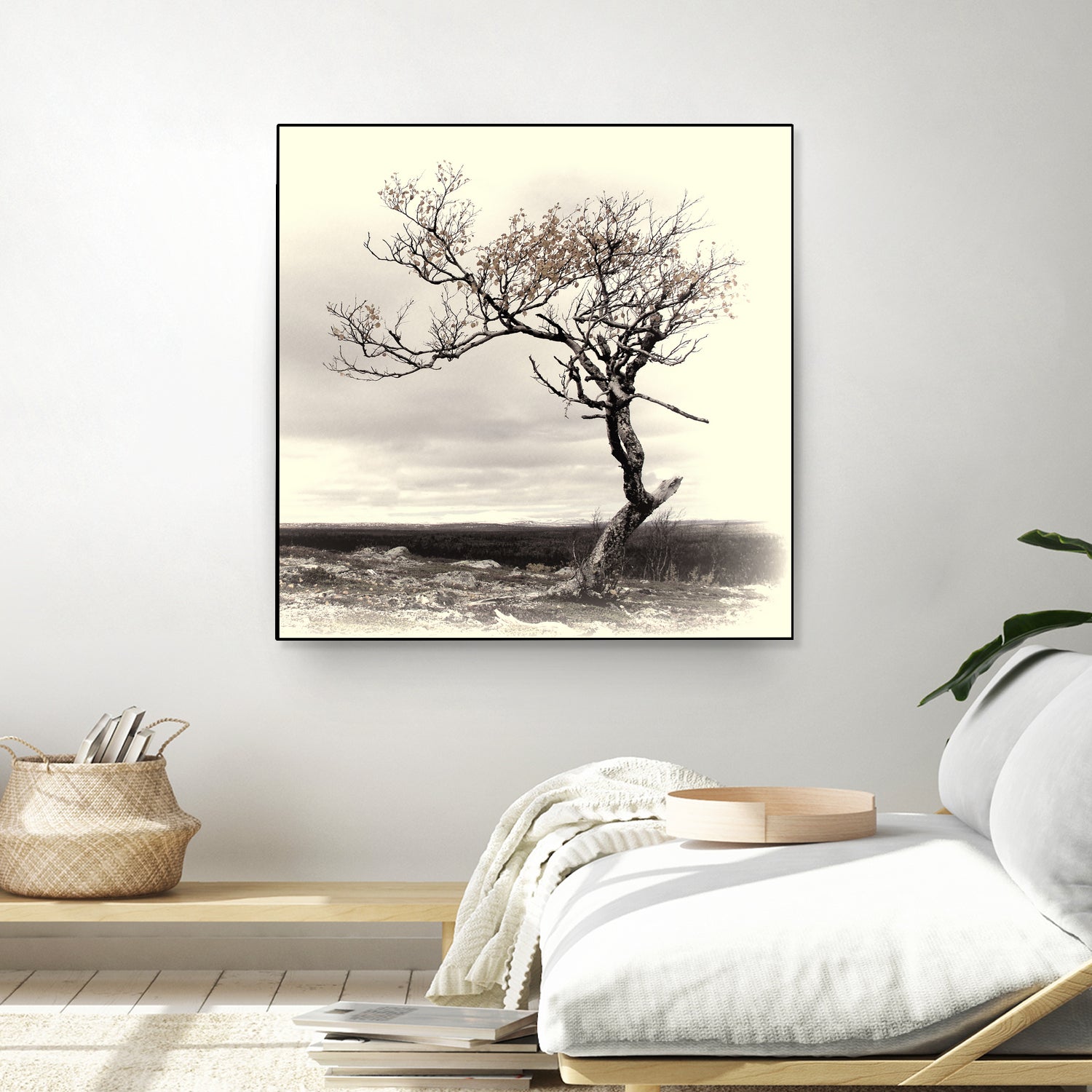 Lonely Tree by I Bjork on GIANT ART - gray photo illustration