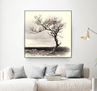 Lonely Tree by I Bjork on GIANT ART - gray photo illustration