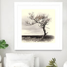 Lonely Tree by I Bjork on GIANT ART - gray photo illustration