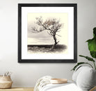 Lonely Tree by I Bjork on GIANT ART - gray photo illustration