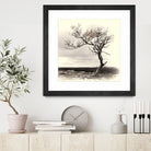 Lonely Tree by I Bjork on GIANT ART - gray photo illustration