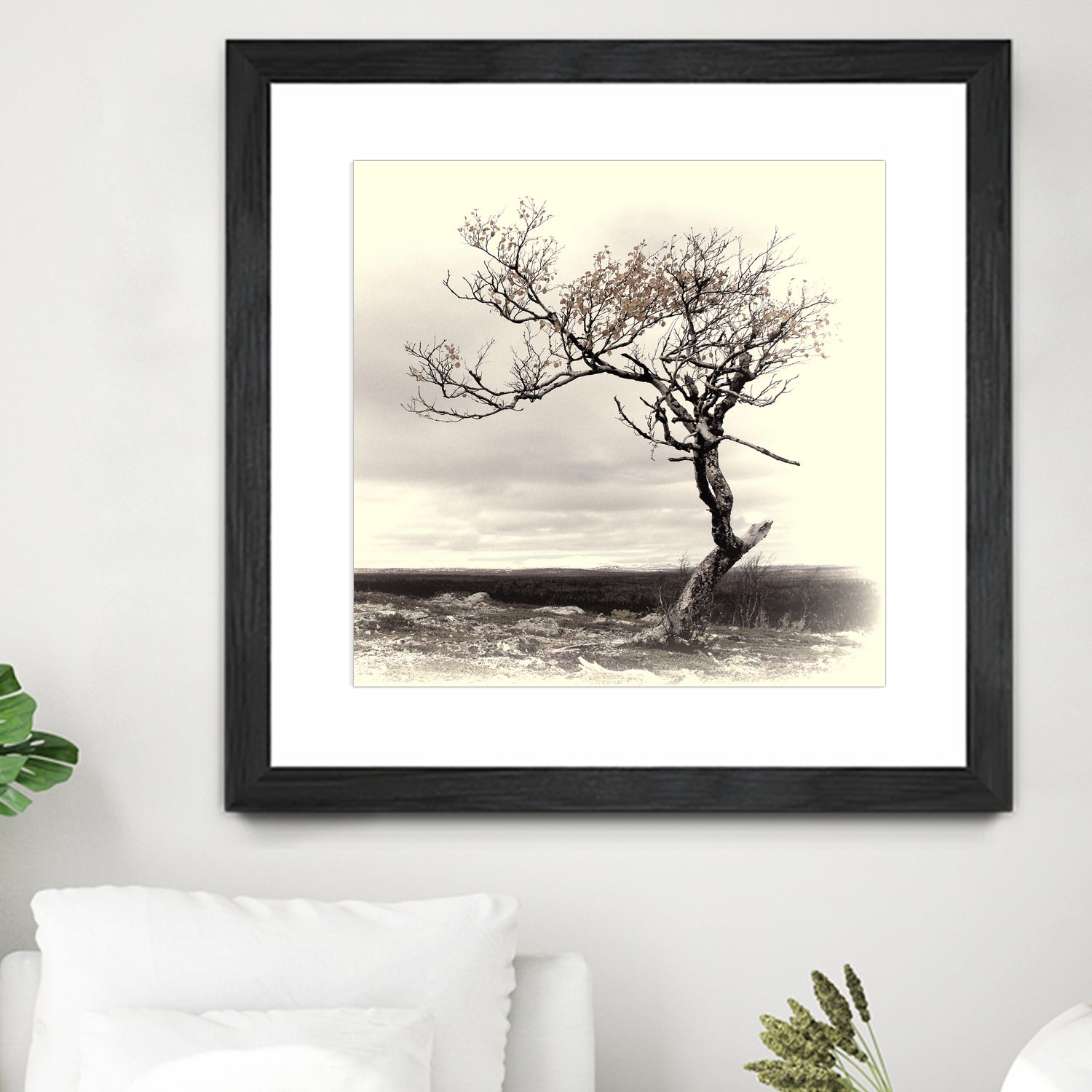 Lonely Tree by I Bjork on GIANT ART - gray photo illustration