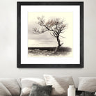 Lonely Tree by I Bjork on GIANT ART - gray photo illustration