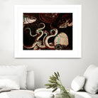 Old Time Octopus by Sharon Coty on GIANT ART - brown photo manipulation