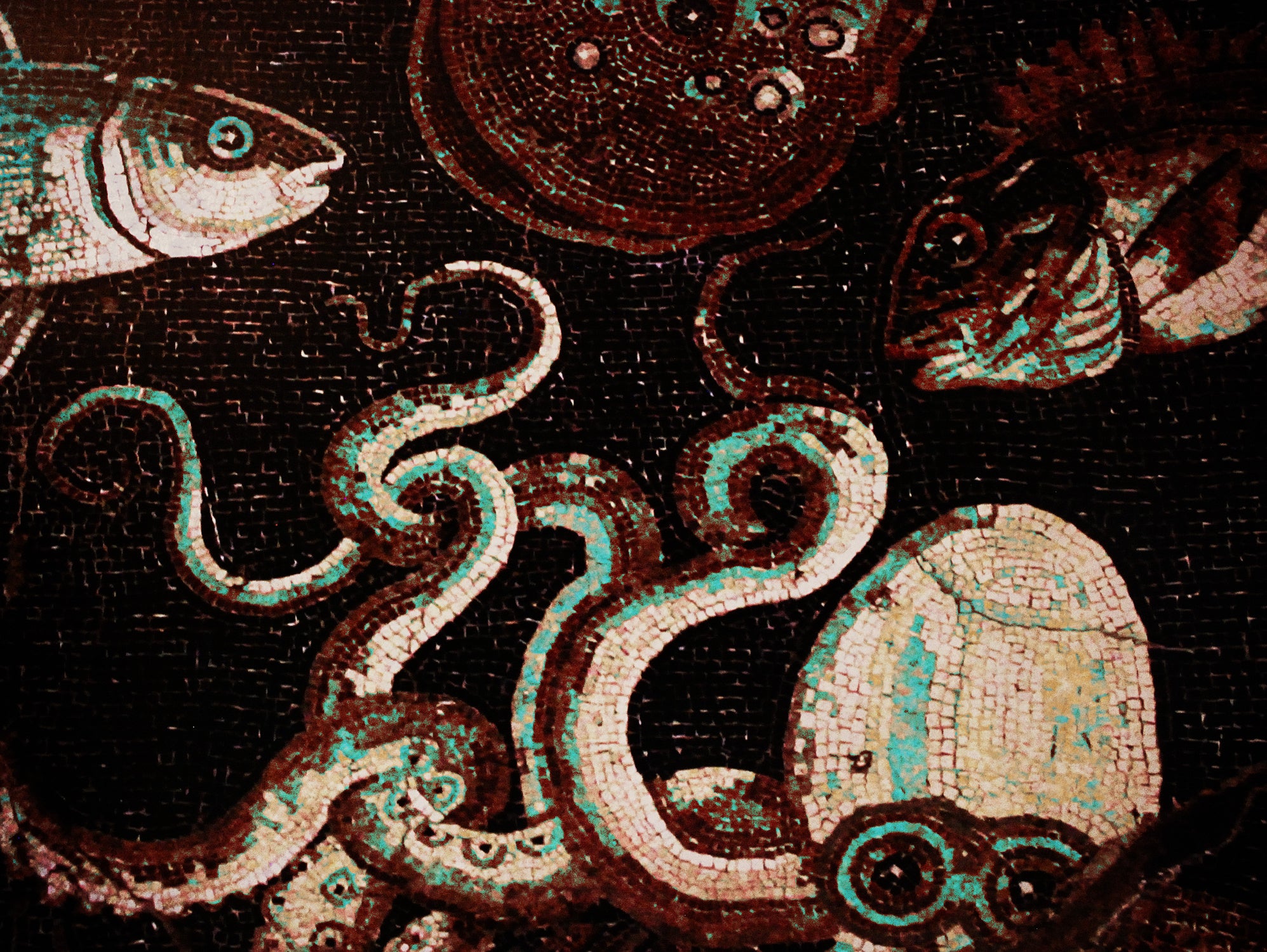 Old Time Octopus by Sharon Coty on GIANT ART - brown photo manipulation