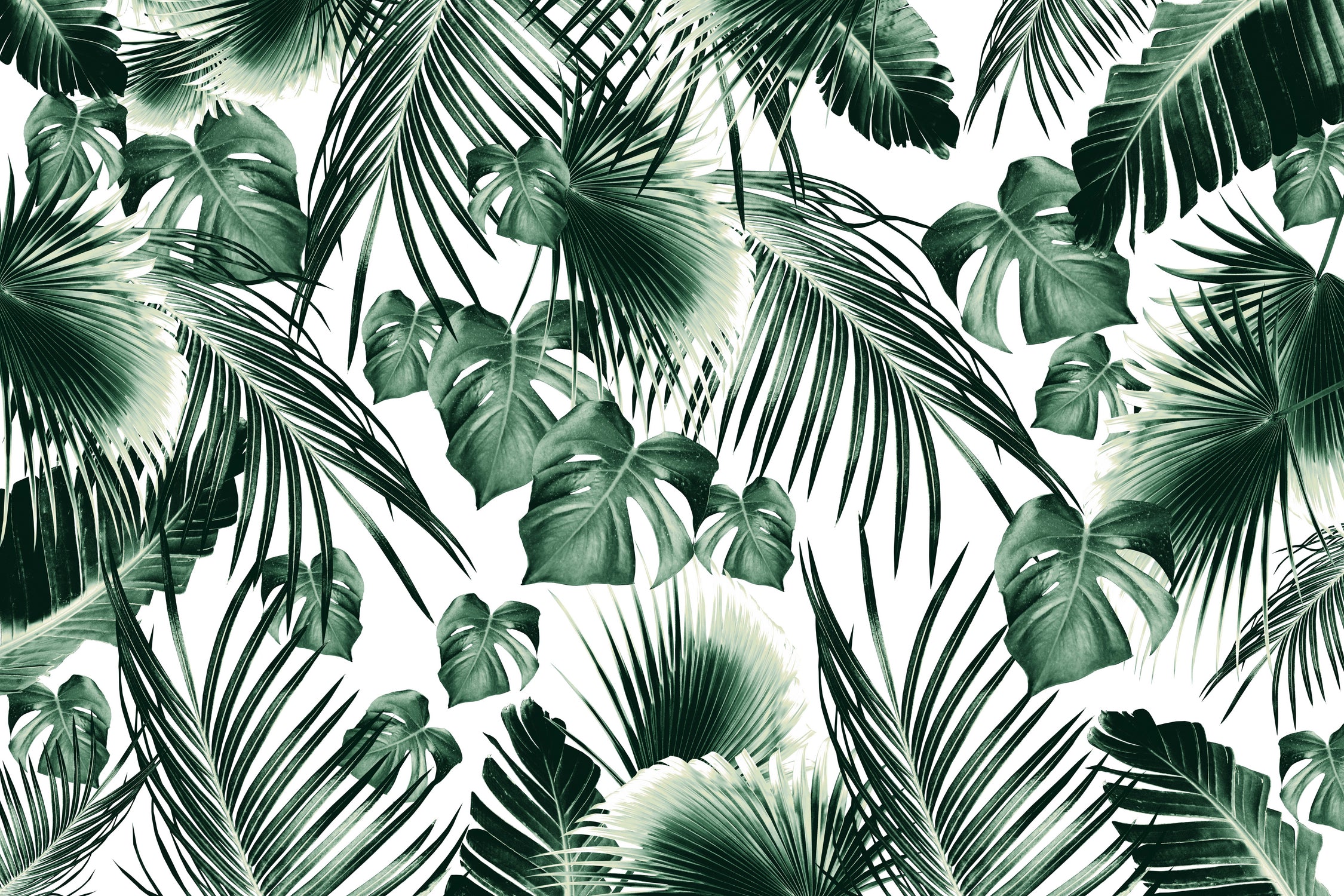 Tropical Jungle Leaves 7  by Anitas Bellas Art on GIANT ART - green botanical leaves