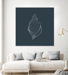 Shell by Alessandra Gagliano on GIANT ART - gray vector illustration