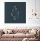 Shell by Alessandra Gagliano on GIANT ART - gray vector illustration