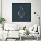 Shell by Alessandra Gagliano on GIANT ART - gray vector illustration