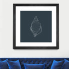 Shell by Alessandra Gagliano on GIANT ART - gray vector illustration