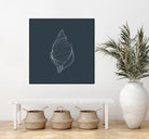 Shell by Alessandra Gagliano on GIANT ART - gray vector illustration